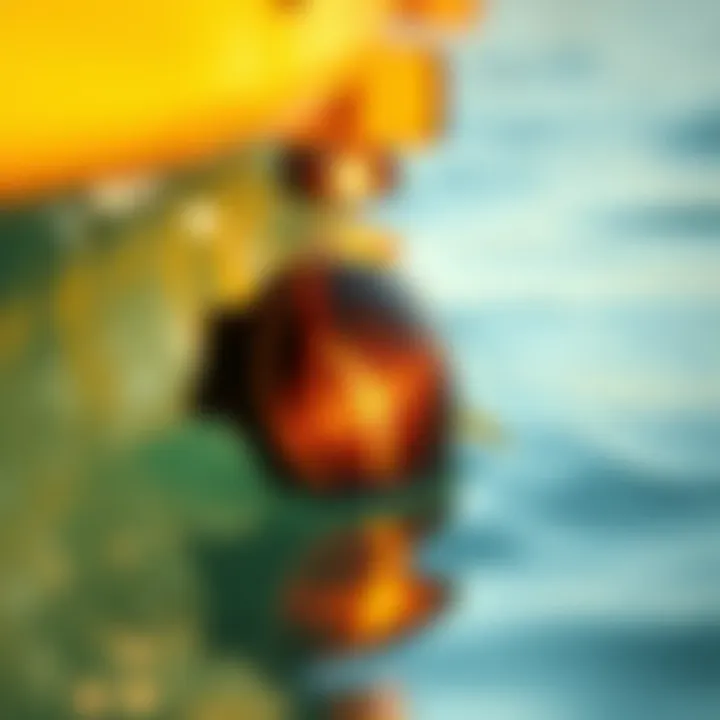 Close-up view of Prizm Bronze lenses reflecting sunlight on water