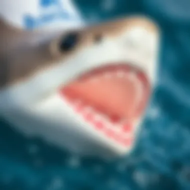 Close-up view of Sharkbanz device showcasing its design