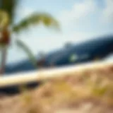 High-quality surfboard travel bag with padding