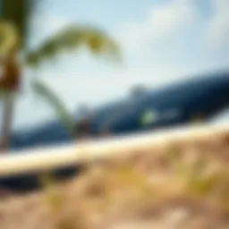 High-quality surfboard travel bag with padding