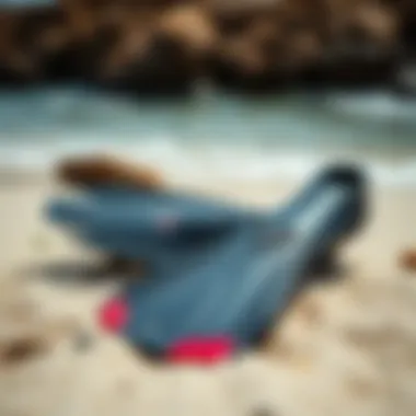 Caring for Your Swim Fins Proper maintenance of swim fins on the beach