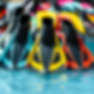 Diverse Swim Fin Options Selection of swim fins in various colors and styles