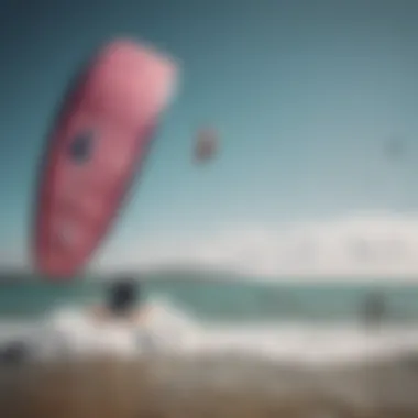 Kitesurfing community celebrating a duotone event