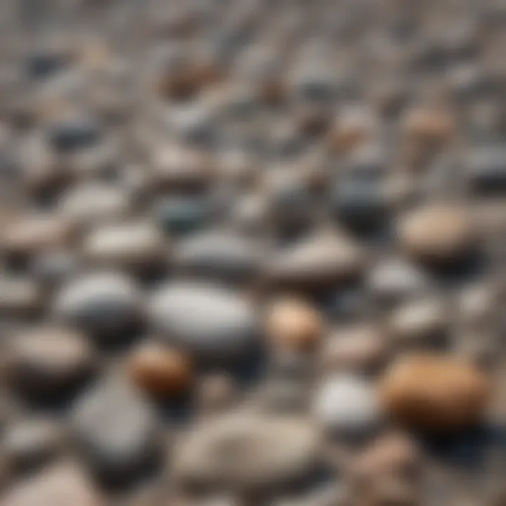 A close-up of different types of stones suitable for skipping