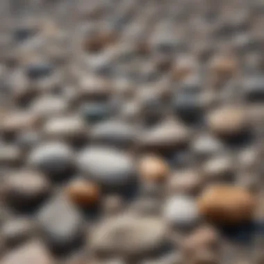 Variety of Stones for Skipping A close-up of different types of stones suitable for skipping