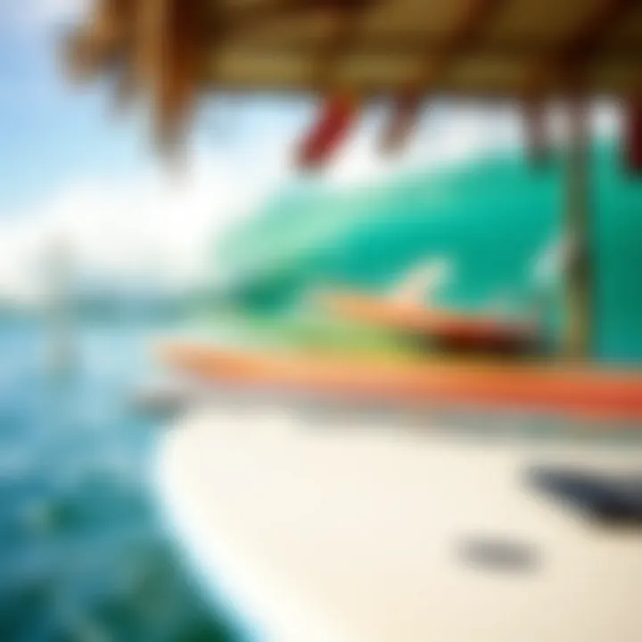 Eco-friendly initiatives related to surfing and sustainable practices