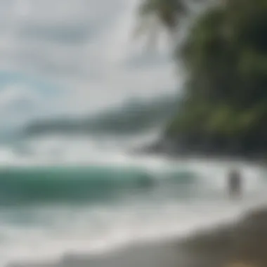 A picturesque view of a lush coastline with surfers in the distance