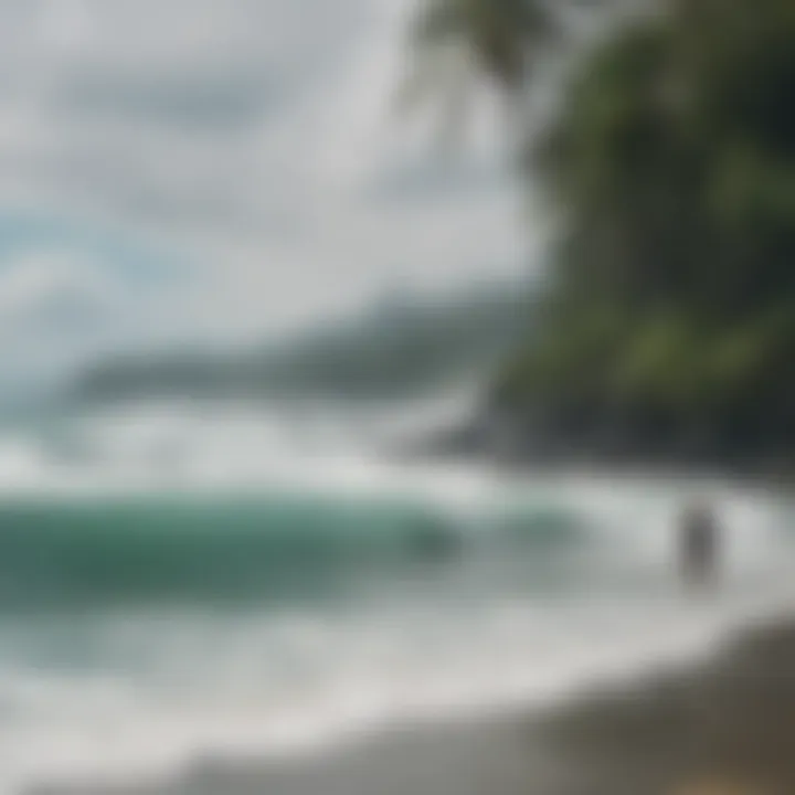 A picturesque view of a lush coastline with surfers in the distance