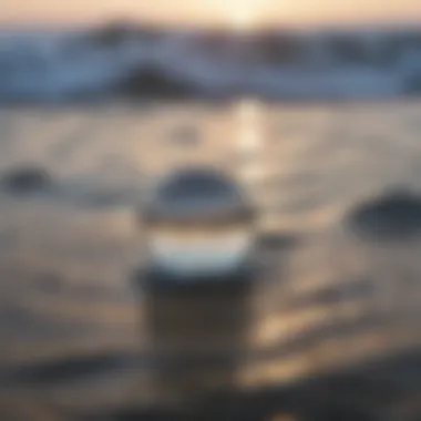 Close-up of water droplets reflecting sunlight