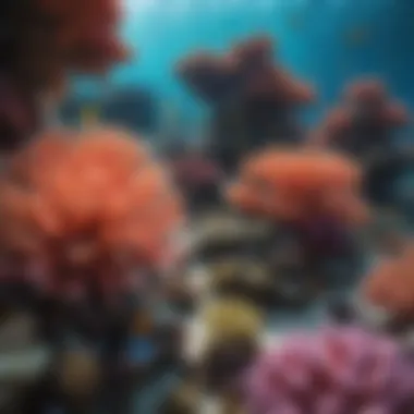 Vibrant coral reef ecosystem showcasing diverse marine life.