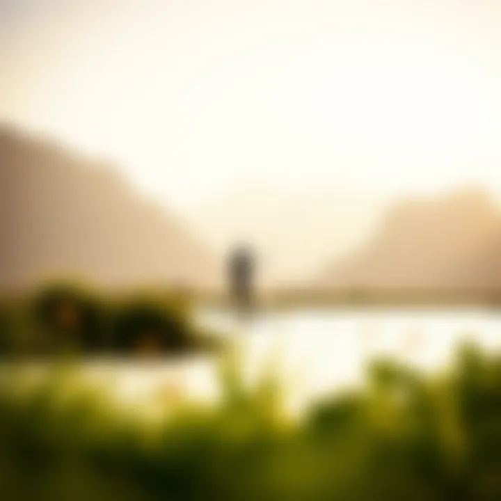 Rider in Harmony with Nature A serene landscape showcasing a rider on a prone foil board